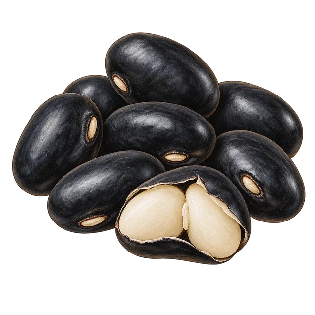Oval black common beans and a split specimen, with a thin dark seed coat enclosing two pale cotyledons.